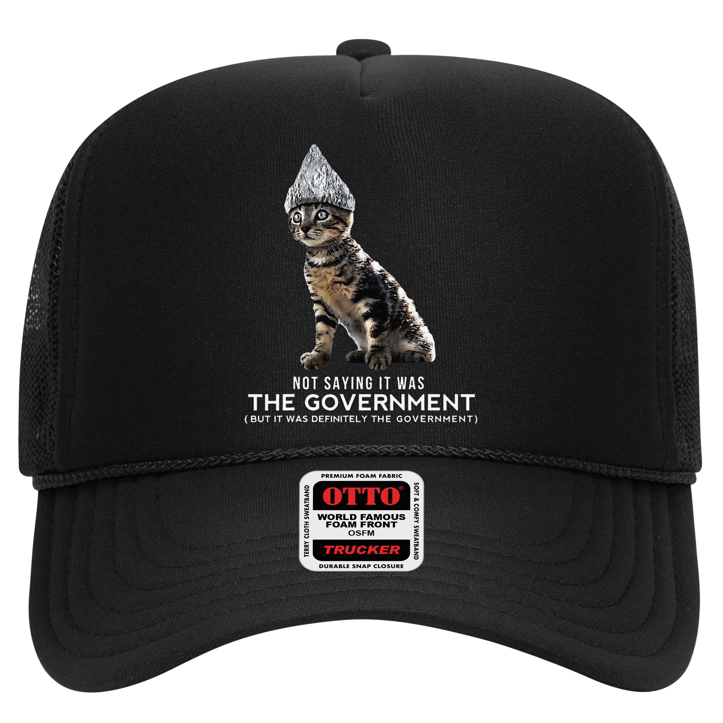 Funny Conspiracy Cat Tin Foil Hat Government Gift Hat