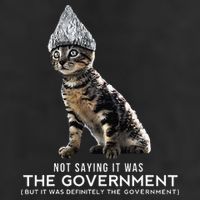 Funny Conspiracy Cat Tin Foil Hat Government Gift Hat