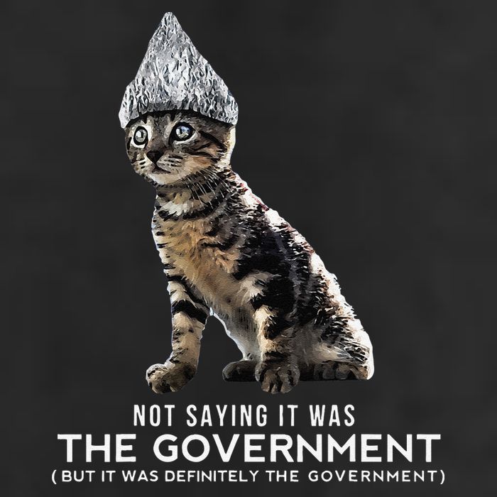 Funny Conspiracy Cat Tin Foil Hat Government Gift Hat
