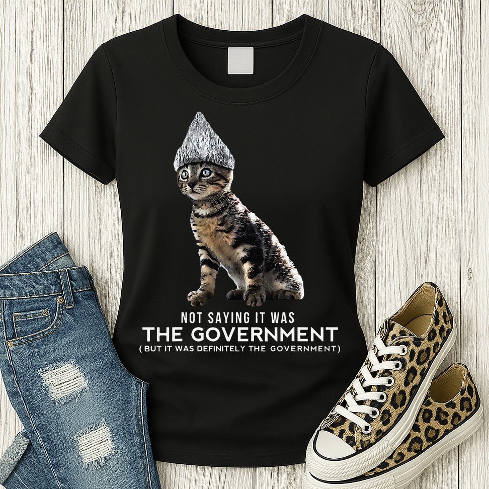 Funny Conspiracy Cat Tin Foil Hat Government Gift Womens T-Shirt