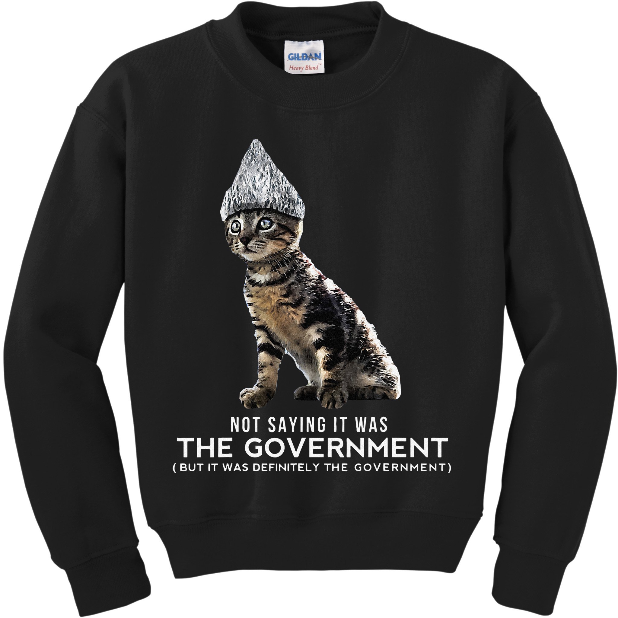 Funny Conspiracy Cat Tin Foil Hat Government Gift Kids Sweatshirt