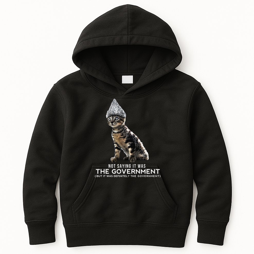 Funny Conspiracy Cat Tin Foil Hat Government Gift Kids Hoodie
