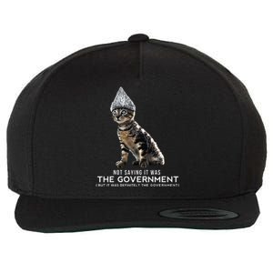 Funny Conspiracy Cat Tin Foil Hat Government Gift Wool Snapback Cap