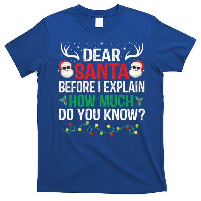 Funny Christmas Cool Gift Adults Dear Santa I Can Explain Cute Gift T-Shirt