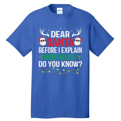 Funny Christmas Cool Gift Adults Dear Santa I Can Explain Cute Gift Tall T-Shirt