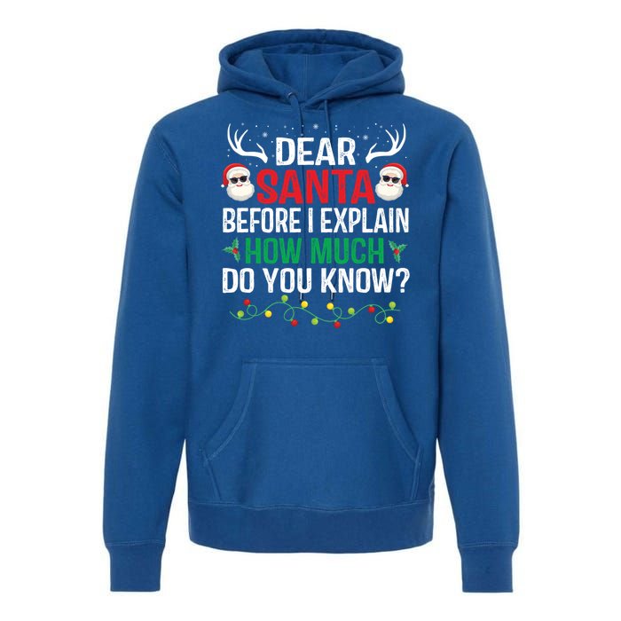 Funny Christmas Cool Gift Adults Dear Santa I Can Explain Cute Gift Premium Hoodie