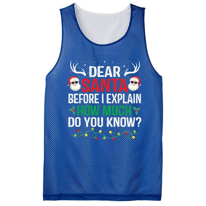 Funny Christmas Cool Gift Adults Dear Santa I Can Explain Cute Gift Mesh Reversible Basketball Jersey Tank