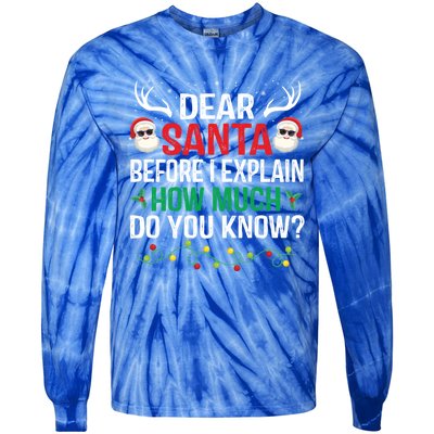 Funny Christmas Cool Gift Adults Dear Santa I Can Explain Cute Gift Tie-Dye Long Sleeve Shirt