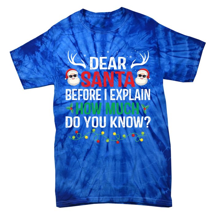 Funny Christmas Cool Gift Adults Dear Santa I Can Explain Cute Gift Tie-Dye T-Shirt