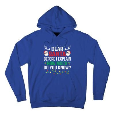 Funny Christmas Cool Gift Adults Dear Santa I Can Explain Cute Gift Tall Hoodie