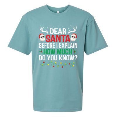 Funny Christmas Cool Gift Adults Dear Santa I Can Explain Cute Gift Sueded Cloud Jersey T-Shirt