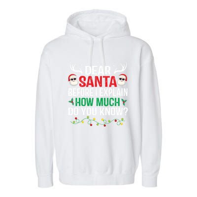 Funny Christmas Cool Gift Adults Dear Santa I Can Explain Cute Gift Garment-Dyed Fleece Hoodie