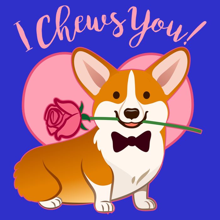 Funny Cute Corgi Valentine I Chews You Womens T-Shirt