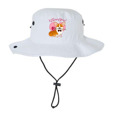 Funny Cute Corgi Valentine I Chews You Legacy Cool Fit Booney Bucket Hat