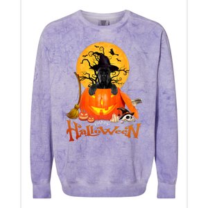 Funny Cane Corso Dog Spooky Halloween Colorblast Crewneck Sweatshirt