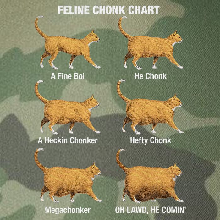 Feline Chonk Cat Chart Funny Cat Meme Oh Lawd He Comin Legacy Tie Dye Trucker Hat
