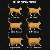 Feline Chonk Cat Chart Funny Cat Meme Oh Lawd He Comin Ladies PosiCharge Tri-Blend Wicking Tank