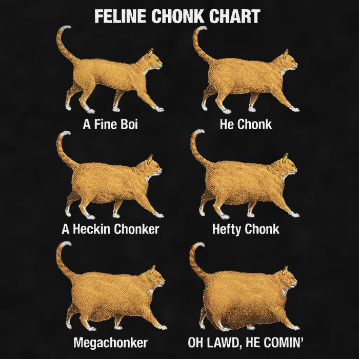 Feline Chonk Cat Chart Funny Cat Meme Oh Lawd He Comin Ladies PosiCharge Tri-Blend Wicking Tank