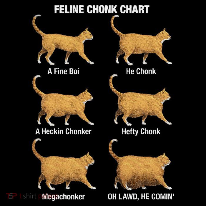 Feline Chonk Cat Chart Funny Cat Meme Oh Lawd He Comin T-Shirt