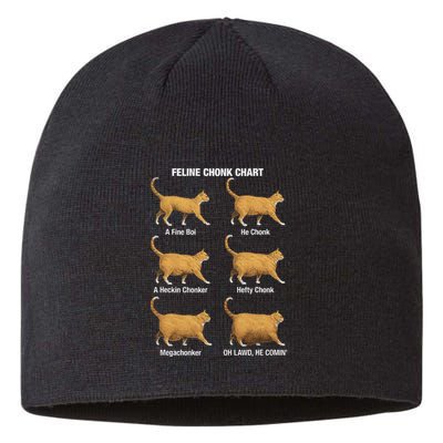 Feline Chonk Cat Chart Funny Cat Meme Oh Lawd He Comin Sustainable Beanie