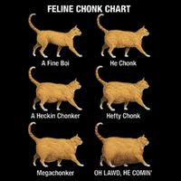 Feline Chonk Cat Chart Funny Cat Meme Oh Lawd He Comin Mousepad