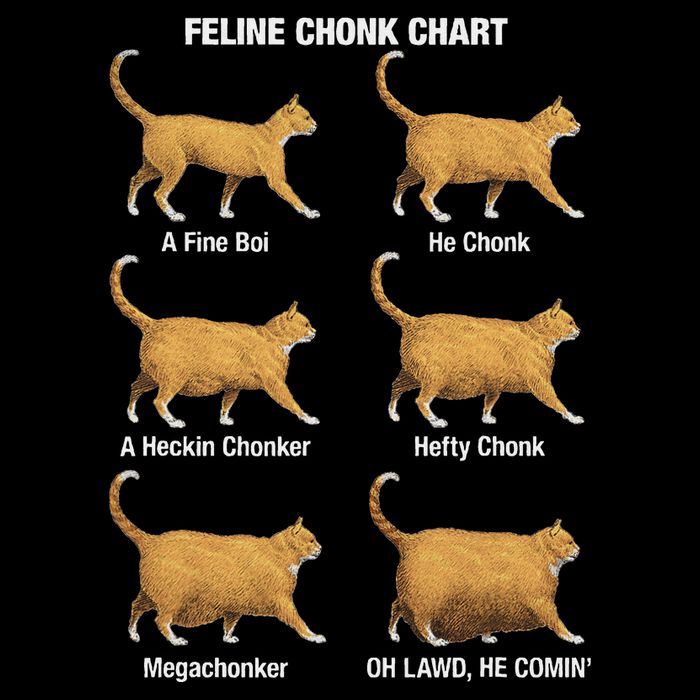 Feline Chonk Cat Chart Funny Cat Meme Oh Lawd He Comin Mousepad