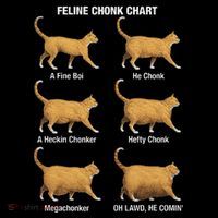 Feline Chonk Cat Chart Funny Cat Meme Oh Lawd He Comin Tall Sweatshirt