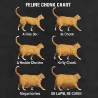 Feline Chonk Cat Chart Funny Cat Meme Oh Lawd He Comin Trucker Hat