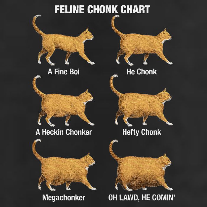 Feline Chonk Cat Chart Funny Cat Meme Oh Lawd He Comin Trucker Hat