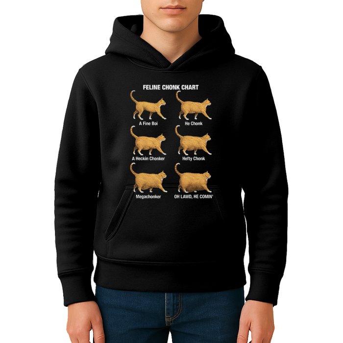 Feline Chonk Cat Chart Funny Cat Meme Oh Lawd He Comin Kids Hoodie