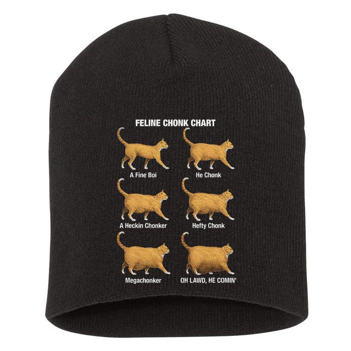 Feline Chonk Cat Chart Funny Cat Meme Oh Lawd He Comin Short Acrylic Beanie