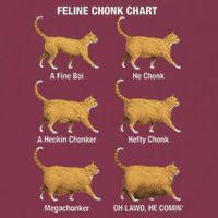 Feline Chonk Cat Chart Funny Cat Meme Oh Lawd He Comin 16oz Travel Tumbler