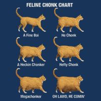 Feline Chonk Cat Chart Funny Cat Meme Oh Lawd He Comin Infant Baby Jersey Bodysuit