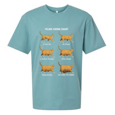Feline Chonk Cat Chart Funny Cat Meme Oh Lawd He Comin Sueded Cloud Jersey T-Shirt