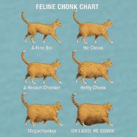 Feline Chonk Cat Chart Funny Cat Meme Oh Lawd He Comin Sueded Cloud Jersey T-Shirt