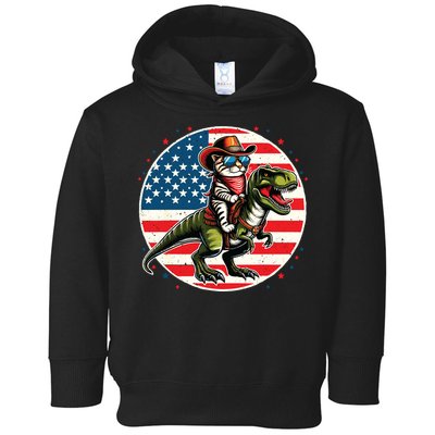 Funny Cowboy Cat Riding Dinosaur Usa Flag Trex 4th Of July Toddler Hoodie