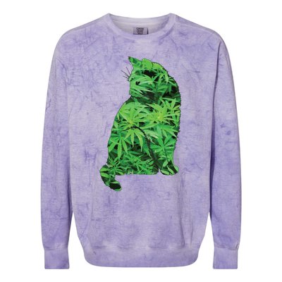 Funny Cannabis & Cat Lover Marijuana Weed Smoker Art Colorblast Crewneck Sweatshirt