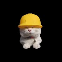 Forklift Certified Cat Zip Tote Bag