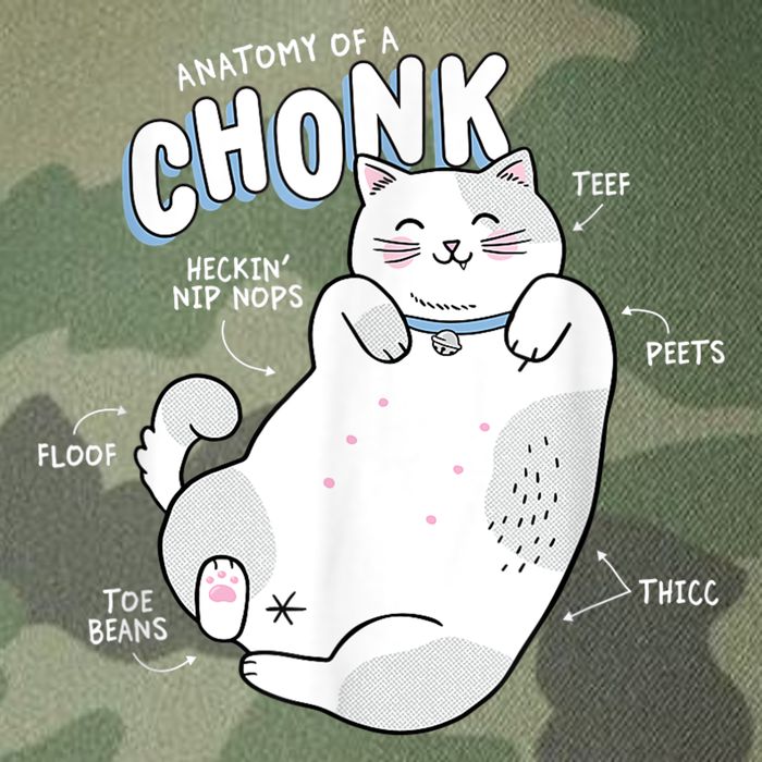Funny Chonk Cat Meme Anatomy Of A Chonk Legacy Tie Dye Trucker Hat