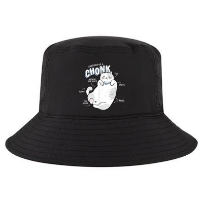Funny Chonk Cat Meme Anatomy Of A Chonk Cool Comfort Performance Bucket Hat