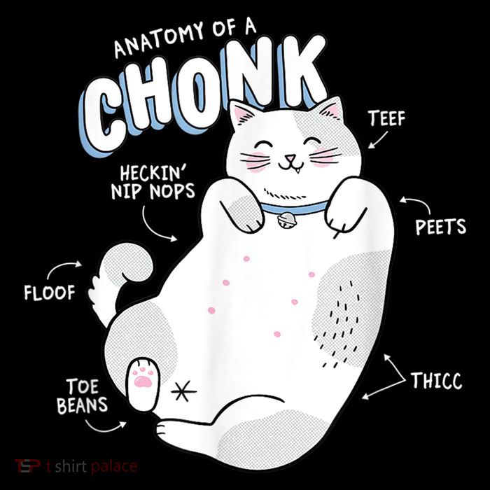 Funny Chonk Cat Meme Anatomy Of A Chonk Flexfit Unipanel Trucker Cap