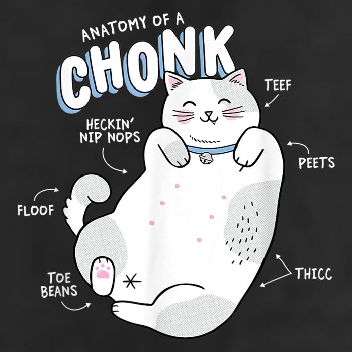 Funny Chonk Cat Meme Anatomy Of A Chonk Adult Drive Performance Visor