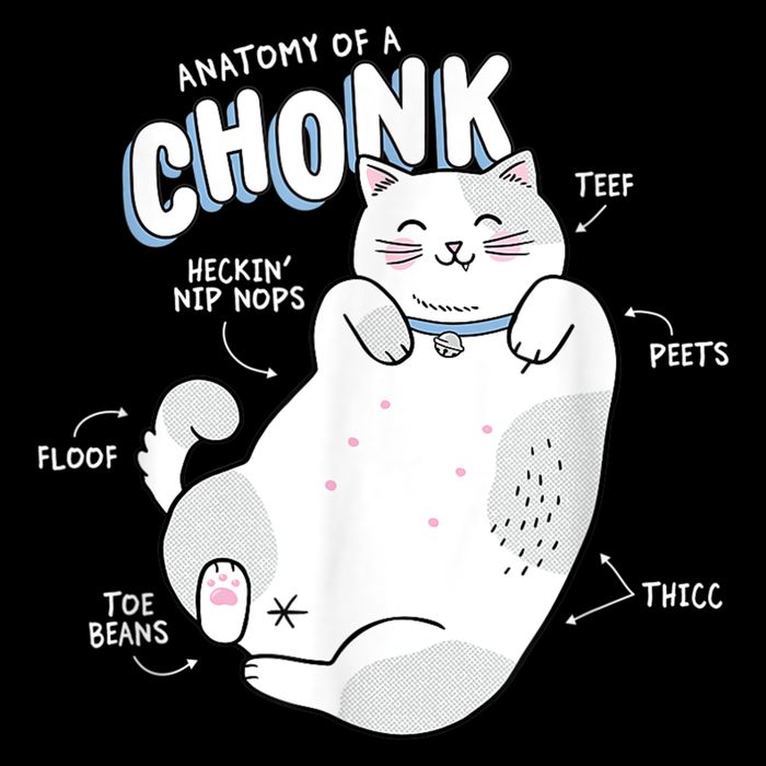 Funny Chonk Cat Meme Anatomy Of A Chonk Drawstring Bag