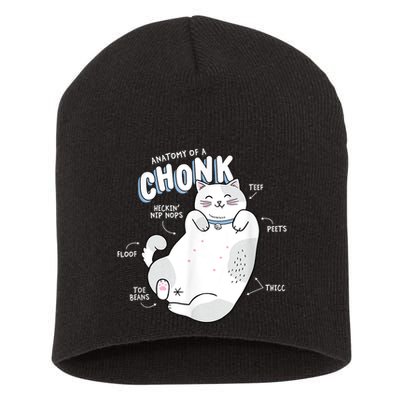 Funny Chonk Cat Meme Anatomy Of A Chonk Short Acrylic Beanie