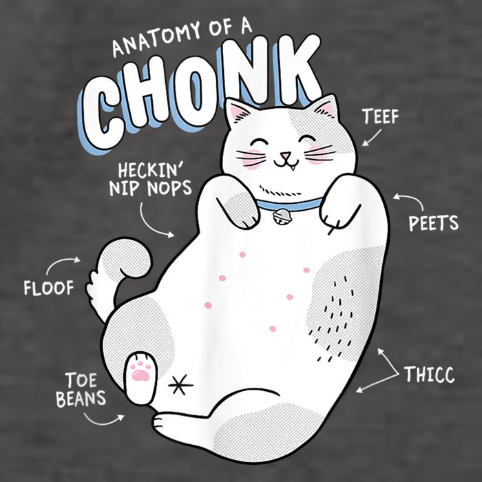 Funny Chonk Cat Meme Anatomy Of A Chonk Vector Backpack