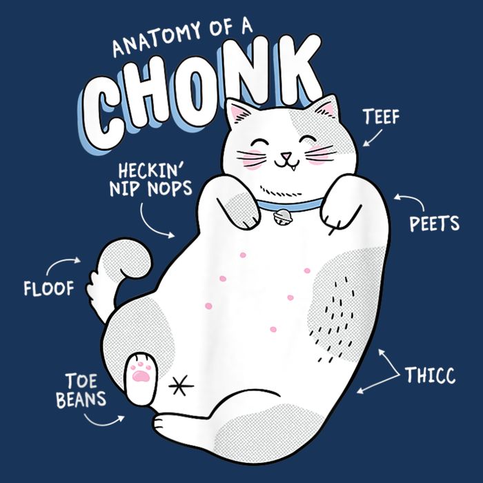 Funny Chonk Cat Meme Anatomy Of A Chonk Infant Baby Jersey Bodysuit