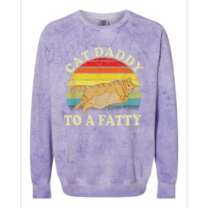 Fat Chonk Dad Cat Daddy To A Fatty Colorblast Crewneck Sweatshirt