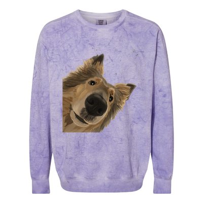 Funny Curious Dog Rough Collie Colorblast Crewneck Sweatshirt