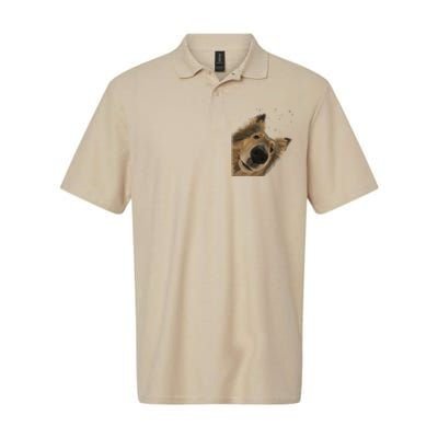 Funny Curious Dog Rough Collie Softstyle Adult Sport Polo