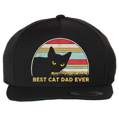 Funny Cat Dad Best Cat Dad Ever Cool Vintage Retro Cat Daddy Cool Gift Wool Snapback Cap